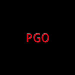 PGO Air Filter Racing