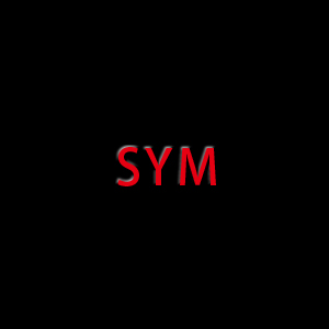 SYM Front Forks Nut