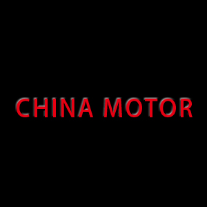 CHINA MOTOR 大陸車系飛盤