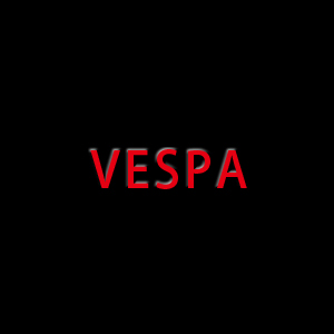 VESPA 偉士牌機車後箱架