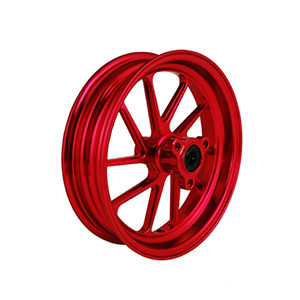 10" FORGED ALUMINUM RIM/ FRONT DISK/ 2.5” FOR RS 100