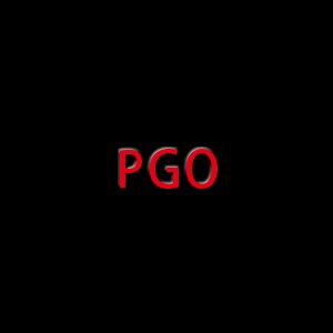 PGO Brake Levers