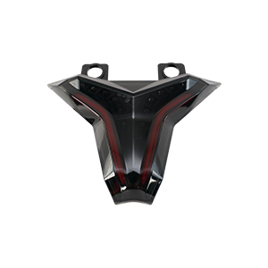 NINJA 250 TAIL LIGHT