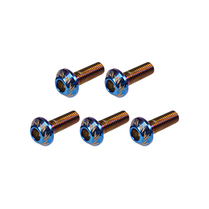 YAMAHA CYGNUS 125 Stainless Disk Screw/ Titanium Blue