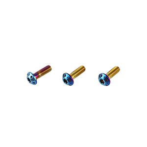 Motorcycle Brake Disk Screw